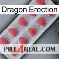 Dragon Erection 18